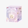 Boîte aveugle en peluche vinyle de la série Constellation HACIPUPU