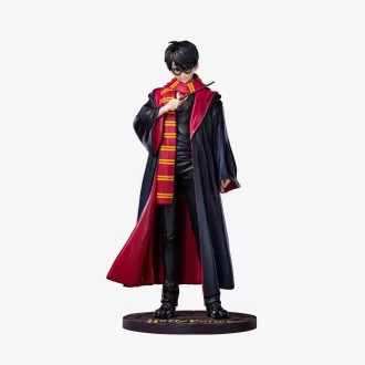 Harry Potter : La Dynastie des sorciers Harry Potter